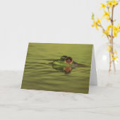 Bullfrog Swimming Folded Wenskaart Kaart (Gele Bloem)