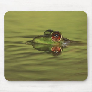 Bullfrog Swimming Muismat