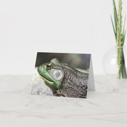 Bullfrog Thoughts Nature Photography Note Kaart (Voorkant)