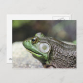 Bullfrog Thoughts Natuur Fotografie Briefkaart (Voorkant / Achterkant)