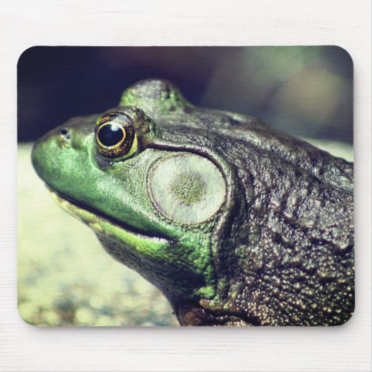 Bullfrog Thoughts-Natuur Muismat (Voorkant)