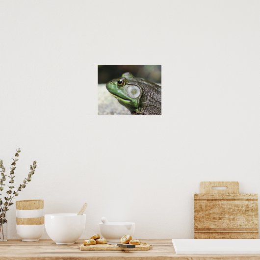 Bullfrog Thoughts-Natuur Poster (Keuken)