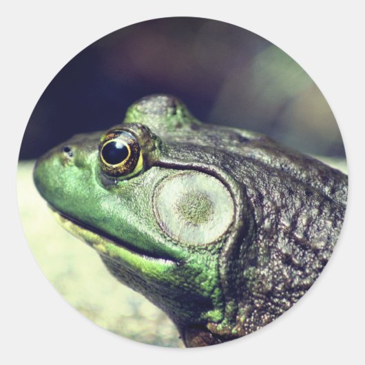 Bullfrog Thoughts-Natuur Ronde Sticker (Voorkant)