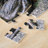 Bullfrog, vergadering op Rock Natuur Legpuzzel (Zijkant)