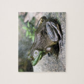 Bullfrog, vergadering op Rock Natuur Legpuzzel (Verticaal)