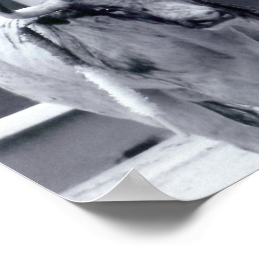 Bullgevecht tegen opstand poster (Hoek)