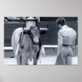 Bullgevecht tegen opstand poster (Voorkant)