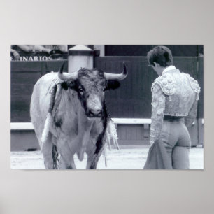 Bullgevecht tegen opstand poster