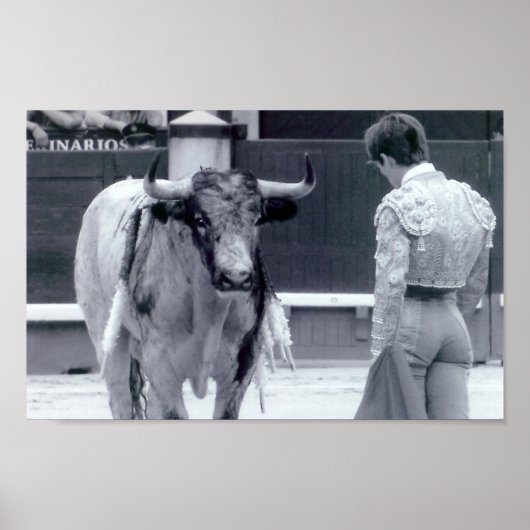 Bullgevecht tegen opstand poster (Voorkant)