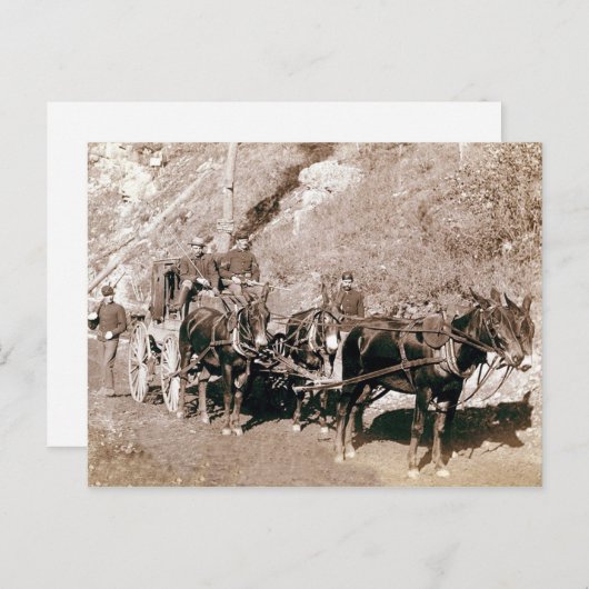 Bullion Stage Coach  Briefkaart (Voorkant / Achterkant)