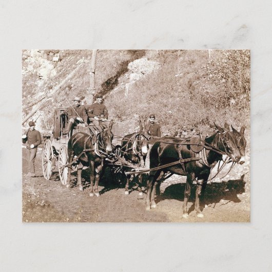 Bullion Stage Coach  Briefkaart (Voorkant)