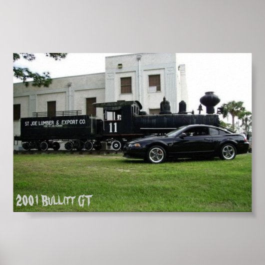 Bullitt Mustang 2001 Poster (Voorkant)