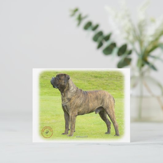 Bullmastiff 9R071D-077 Briefkaart (Staand voorkant)