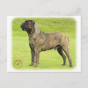 Bullmastiff 9R071D-077 Briefkaart