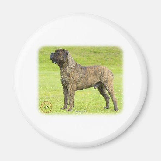 Bullmastiff 9R071D-077 Magneet (Voorkant)