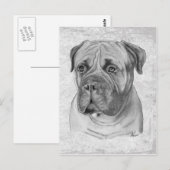 Bullmastiff Briefkaart (Voorkant / Achterkant)
