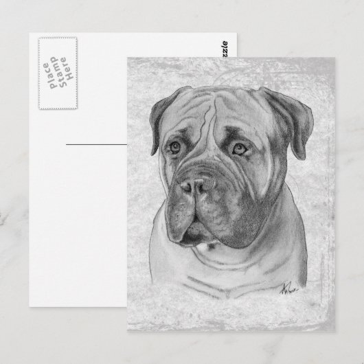 Bullmastiff Briefkaart (Voorkant / Achterkant)