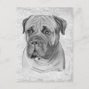 Bullmastiff Briefkaart