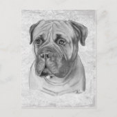 Bullmastiff Briefkaart (Voorkant)