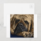 Bullmastiff Briefkaart (Voorkant / Achterkant)