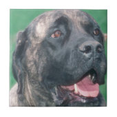 Bullmastiff Brindle Tile Tegeltje (Voorkant)