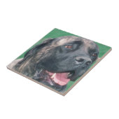 Bullmastiff Brindle Tile Tegeltje (Zijkant)