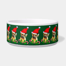 Bullmastiff Dog Kerstmis
