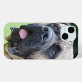 Bullmastiff Face Case-Mate iPhone Case (Achterkant (horizontaal))