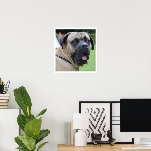 Bullmastiff Face Poster (Thuiskantoor)