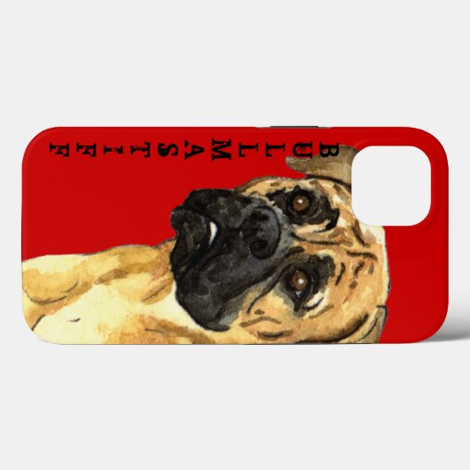 Bullmastiff-kleurenblok Case-Mate iPhone Case (Achterkant (horizontaal))