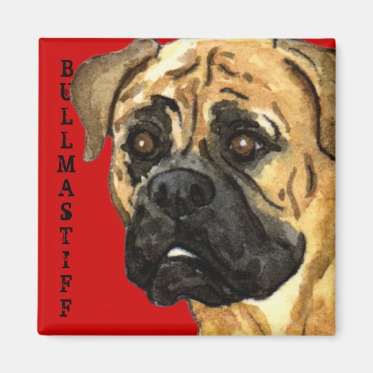 Bullmastiff-kleurenblok Magneet (Voorkant)