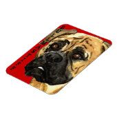 Bullmastiff-kleurenblok Magneet (Linkerzijde)
