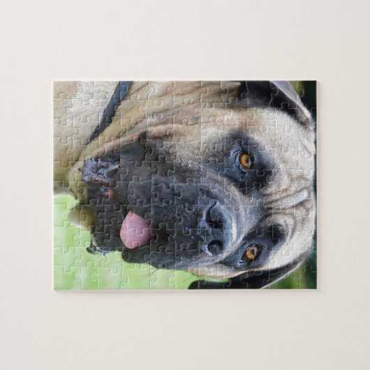 Bullmastiff Legpuzzel (Horizontaal)