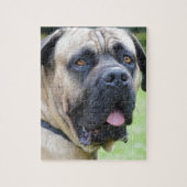 Bullmastiff Legpuzzel (Verticaal)