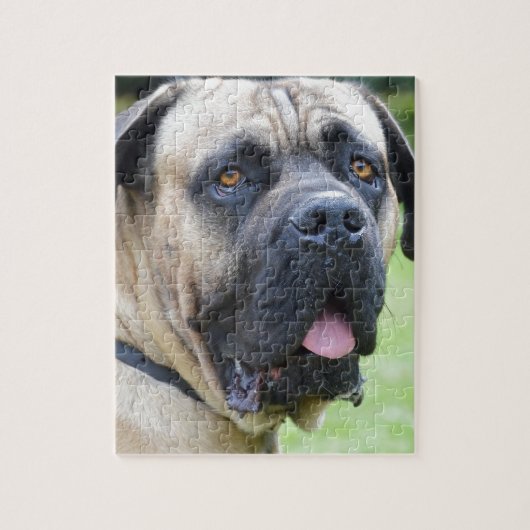 Bullmastiff Legpuzzel (Verticaal)