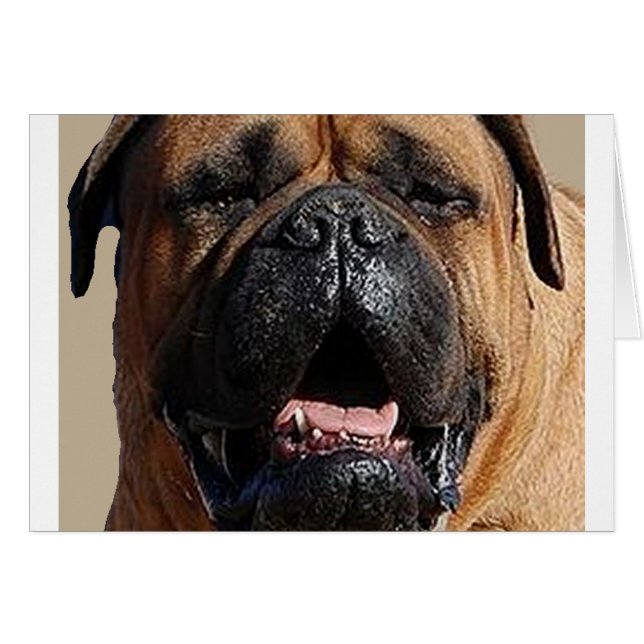 Bullmastiff.png (Voorkant Horizontaal)