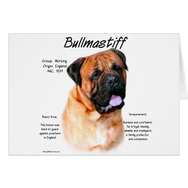 Bullmastiff (rood) het Ontwerp van de Geschiedenis (Voorkant Horizontaal)