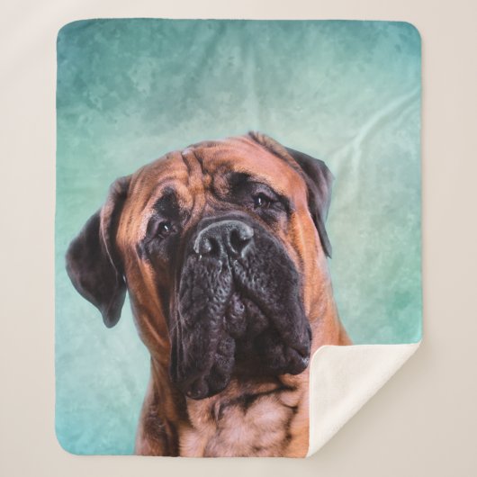 Bullmastiff Sherpa Deken (Voorkant)