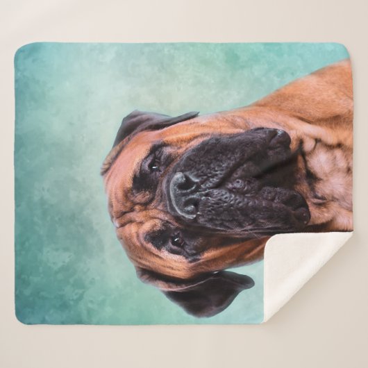 Bullmastiff Sherpa Deken (Voorkant (horizontaal))