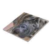 Bullmastiff Tile Tegeltje (Zijkant)