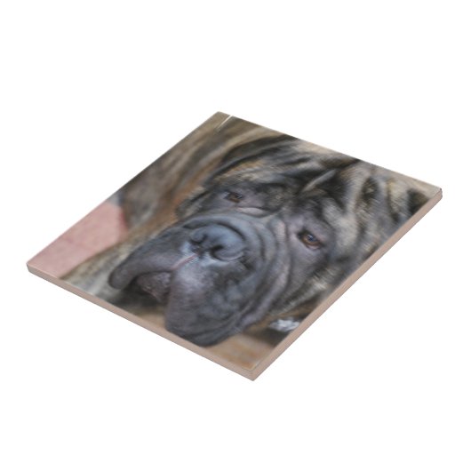 Bullmastiff Tile Tegeltje (Zijkant)