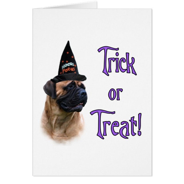 Bullmastiff Trick (Voorkant)