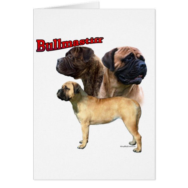 Bullmastiff Trio 2 (Voorkant)
