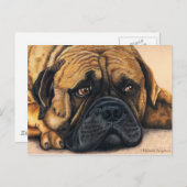Bullmastiff Waiting - Hondenras Art Briefkaart (Voorkant / Achterkant)