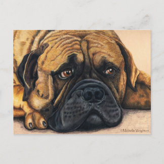 Bullmastiff Waiting - Hondenras Art Briefkaart