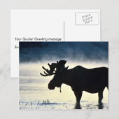 Bullmolen Briefkaart (Voorkant / Achterkant)