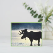 Bullmolen Briefkaart (Staand voorkant)