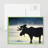 Bullmolen Briefkaart (Voorkant / Achterkant)