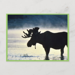 Bullmolen Briefkaart