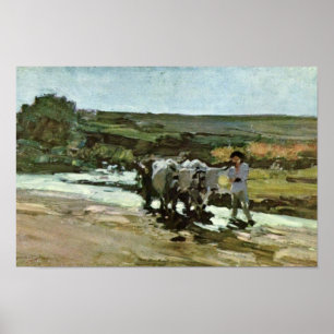 Bullock crin in the Ford by grigorescu Nicolae Poster